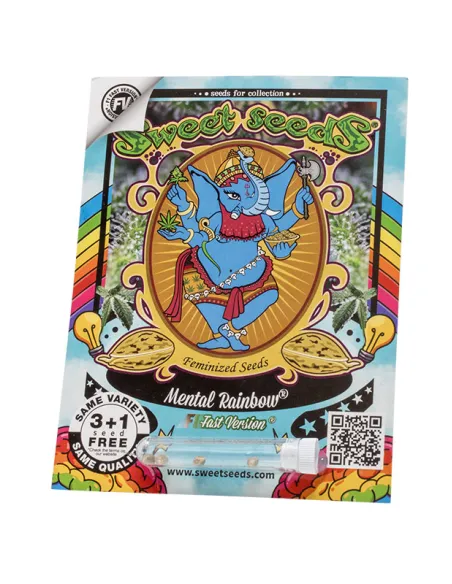 EN - Mental Rainbow F1 Fast Version® 3+1