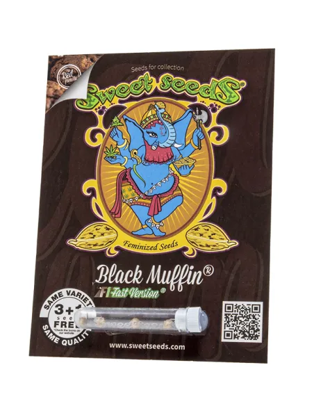 Black Muffin F1 Fast Version® - Sweet Seeds®