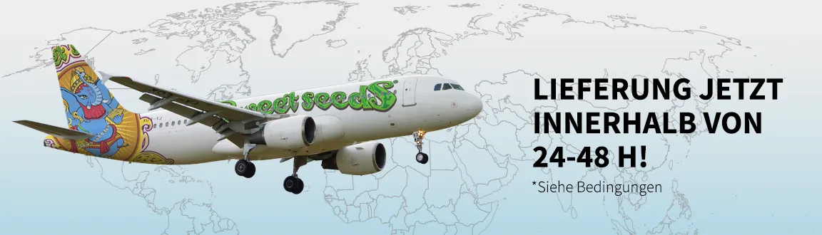 Fix enviogratis2448h