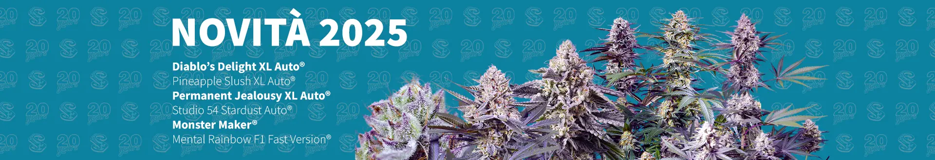 Fix Novit&agrave; 2025