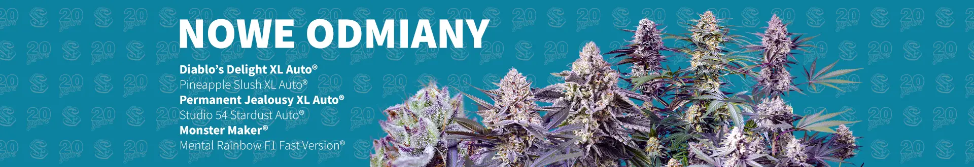 Fix Nowe Wydania 2025