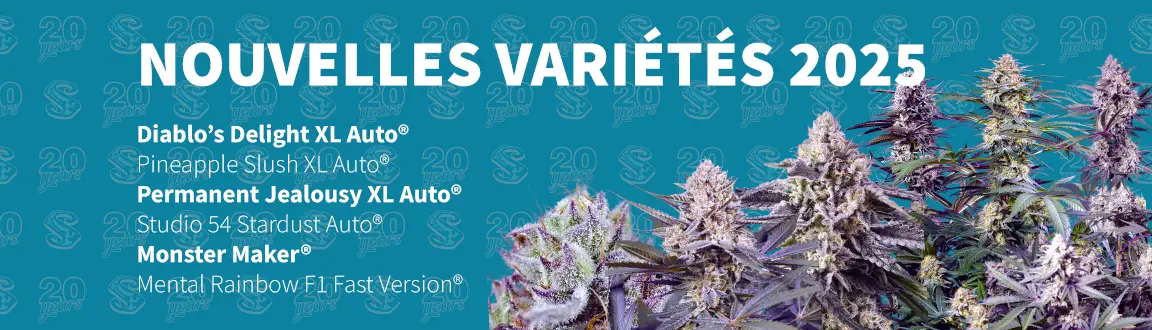 Fix Nouveautés 2025