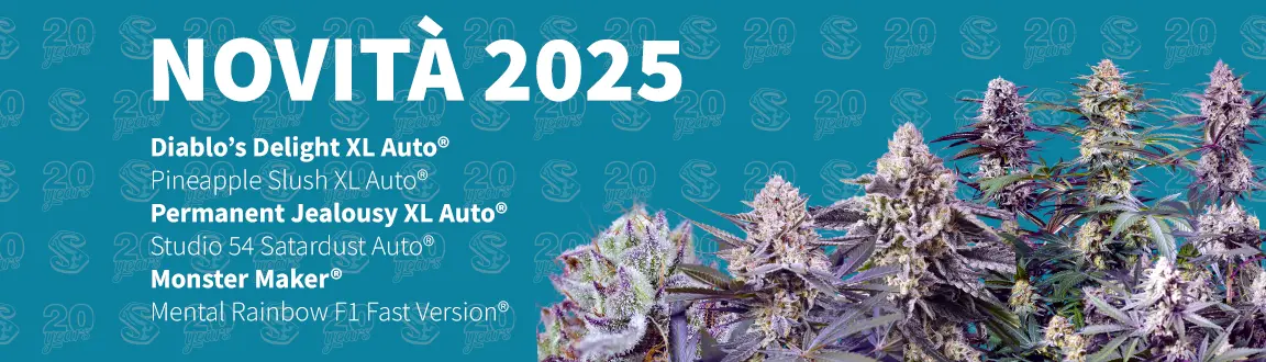 Fix Novit&agrave; 2025