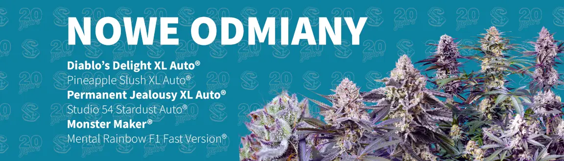 Fix Nowe Wydania 2025