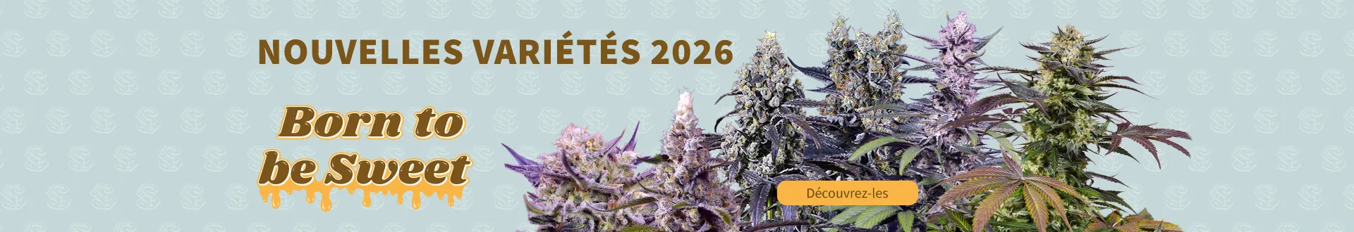 Fix Nouveaut&eacute;s 2026