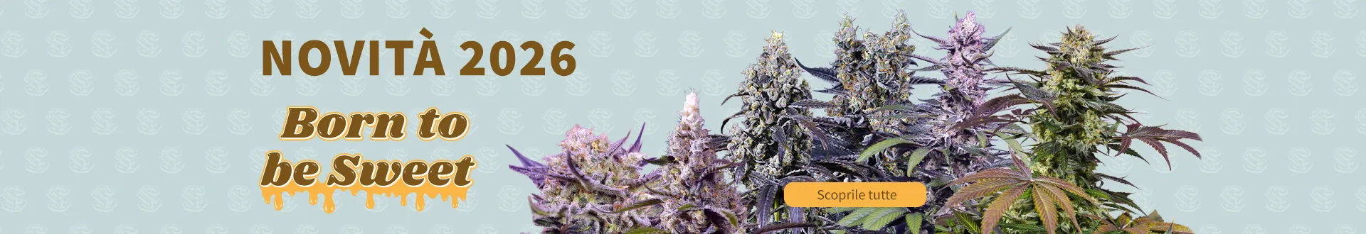 Fix Novit&agrave; 2026