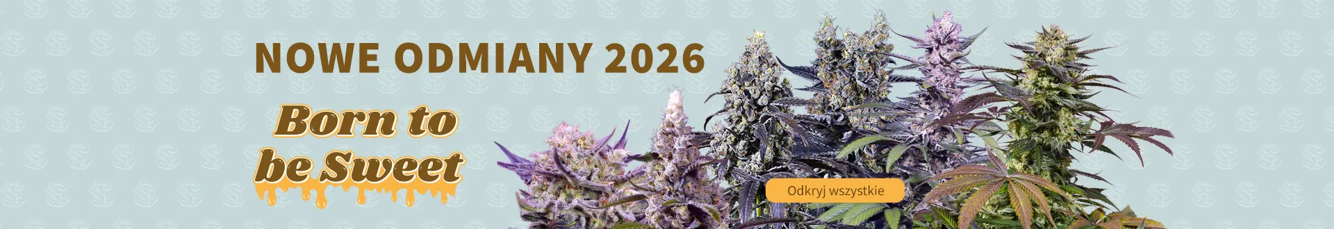 Fix Nowe Wydania 2026