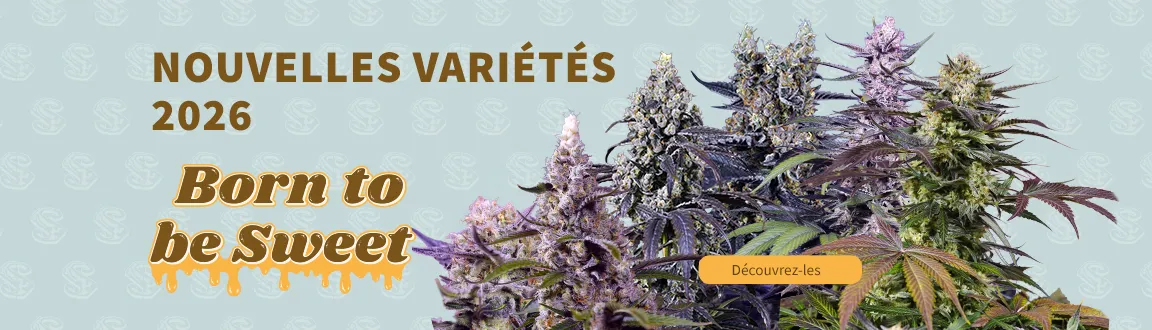 Fix Nouveaut&eacute;s 2026