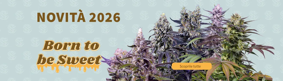 Fix Novit&agrave; 2026