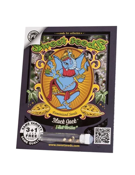 EN - Black Jack F1 Fast Version® 3+1