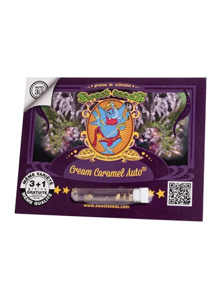 FR - Cream Caramel Auto® 3+1